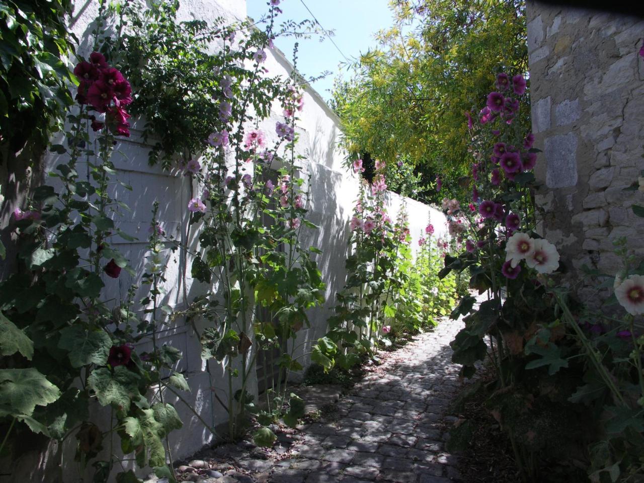 Maison Santoline سان مارتن دو ر المظهر الخارجي الصورة